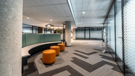 Por Que a Limpeza Profissional de Carpetes é Essencial em Ambientes Corporativos?